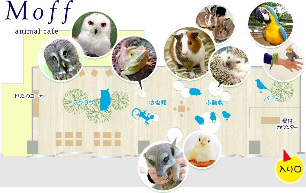 f:id:ringo_co:20190127000747j:plain
