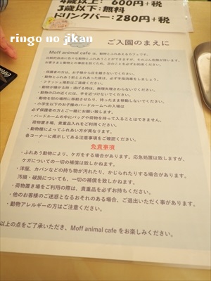 f:id:ringo_co:20190127001535j:plain