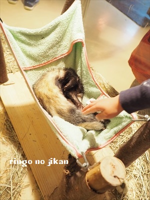 f:id:ringo_co:20190127002921j:plain