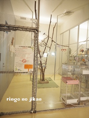 f:id:ringo_co:20190127003346j:plain