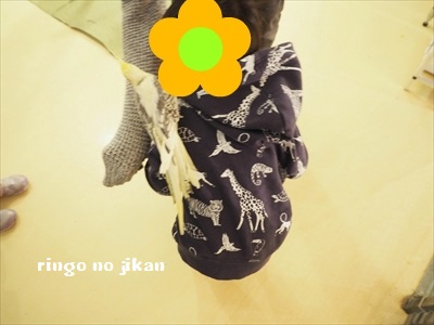 f:id:ringo_co:20190127004945j:plain