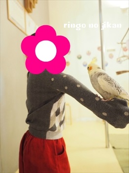 f:id:ringo_co:20190127005351j:plain