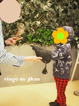 f:id:ringo_co:20190127011326j:plain