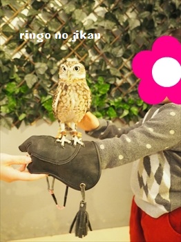 f:id:ringo_co:20190127011351j:plain