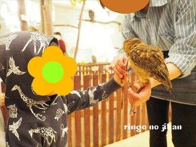 f:id:ringo_co:20190127011409j:plain