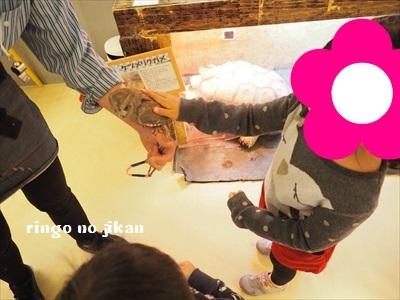 f:id:ringo_co:20190127011454j:plain