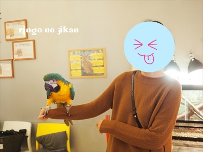 f:id:ringo_co:20190127011826j:plain