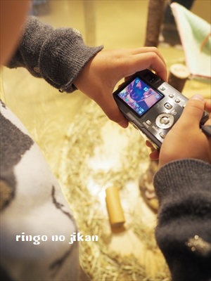 f:id:ringo_co:20190127012215j:plain