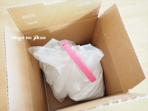 f:id:ringo_co:20190201142047j:plain