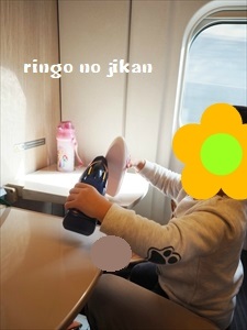 f:id:ringo_co:20190216010527j:plain f:id:ringo_co:20190216010527j:plain
