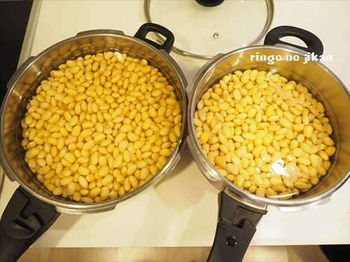 f:id:ringo_co:20190218014342j:plain