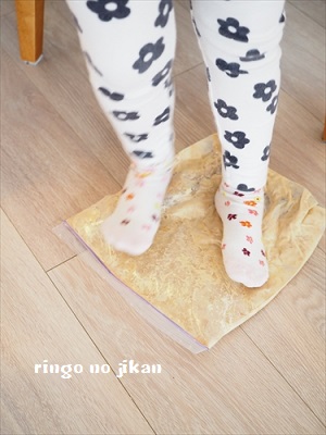 f:id:ringo_co:20190218014801j:plain