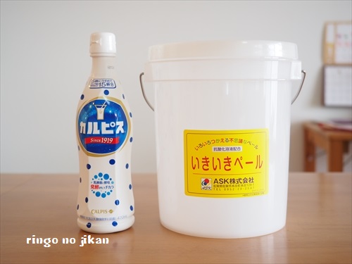 f:id:ringo_co:20190218020118j:plain