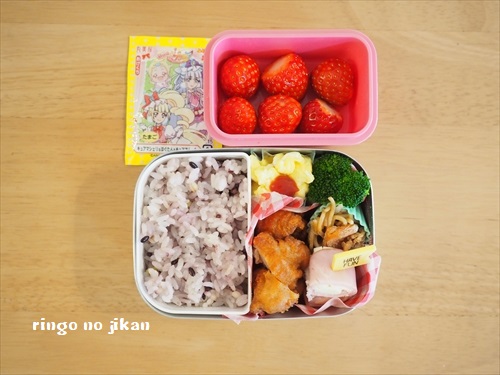 f:id:ringo_co:20190302224929j:plain