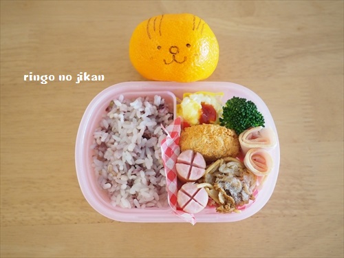 f:id:ringo_co:20190302225909j:plain