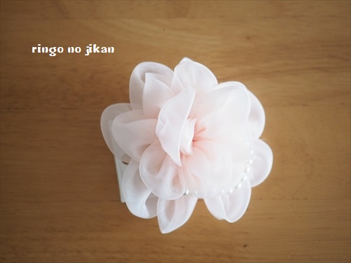 f:id:ringo_co:20190308001316j:plain