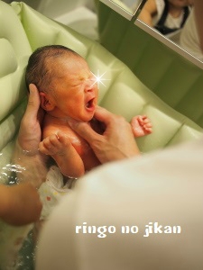 f:id:ringo_co:20190314234546j:plain