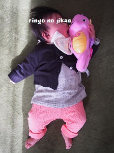 f:id:ringo_co:20190314235425j:plain