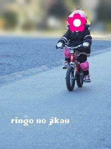 f:id:ringo_co:20190316131027j:plain