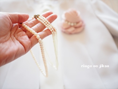 f:id:ringo_co:20190319123233j:plain