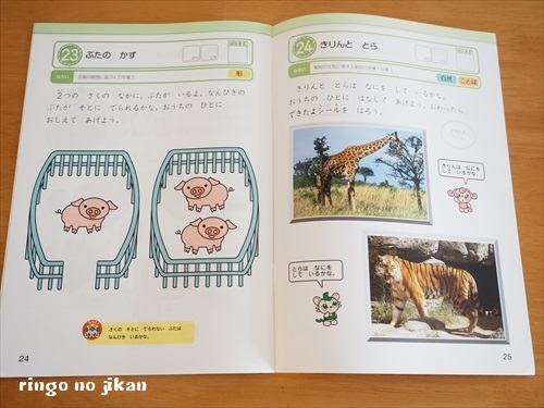 f:id:ringo_co:20190327234019j:plain
