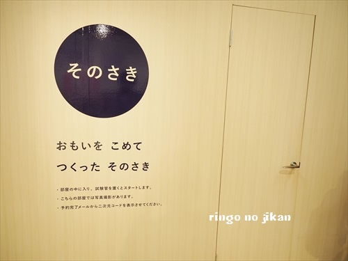 f:id:ringo_co:20190408002521j:plain