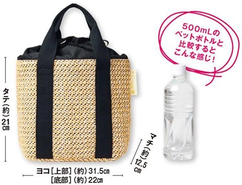 f:id:ringo_co:20190413232004j:plain