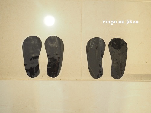 f:id:ringo_co:20190506105426j:plain