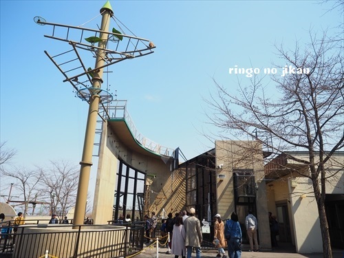 f:id:ringo_co:20190508225602j:plain