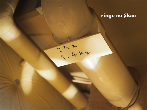 f:id:ringo_co:20190508231517j:plain