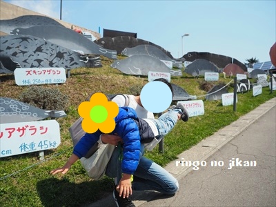 f:id:ringo_co:20190508231543j:plain