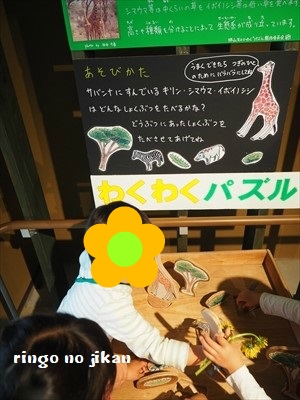 f:id:ringo_co:20190508231558j:plain