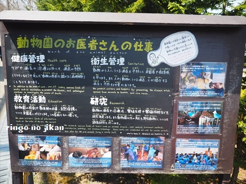 f:id:ringo_co:20190508231625j:plain