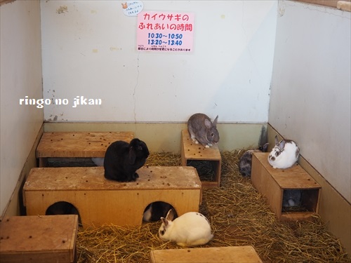 f:id:ringo_co:20190508232139j:plain