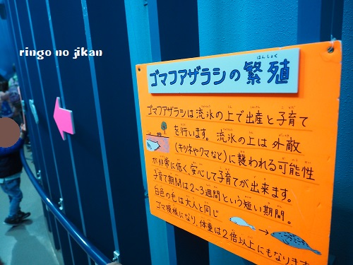 f:id:ringo_co:20190510103302j:plain