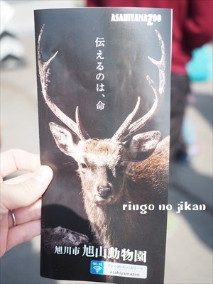 f:id:ringo_co:20190511002826j:plain