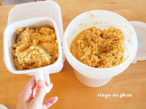 f:id:ringo_co:20190518235008j:plain