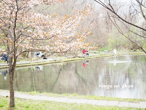 f:id:ringo_co:20190521141459j:plain f:id:ringo_co:20190521141459j:plain