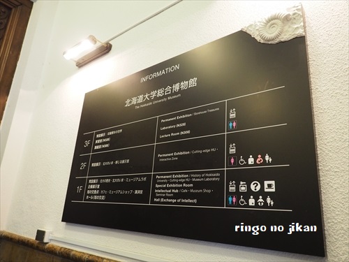 f:id:ringo_co:20190521142040j:plain f:id:ringo_co:20190521142040j:plain