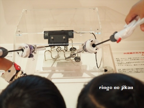 f:id:ringo_co:20190521142113j:plain f:id:ringo_co:20190521142113j:plain