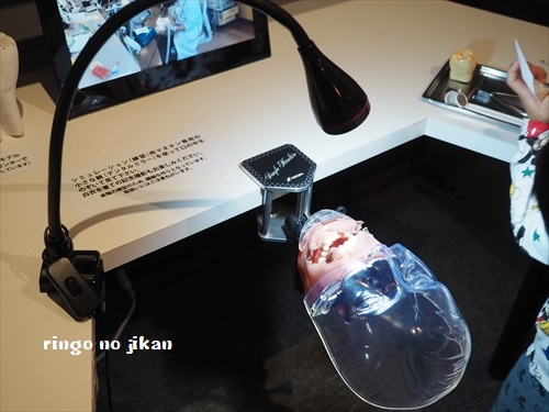 f:id:ringo_co:20190521142150j:plain f:id:ringo_co:20190521142150j:plain