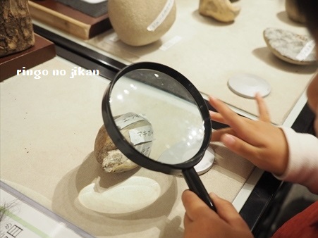 f:id:ringo_co:20190521142326j:plain f:id:ringo_co:20190521142326j:plain