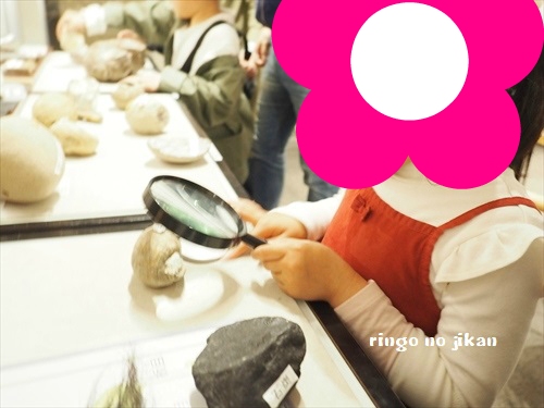 f:id:ringo_co:20190521142328j:plain f:id:ringo_co:20190521142328j:plain
