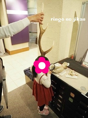 f:id:ringo_co:20190521142331j:plain f:id:ringo_co:20190521142331j:plain