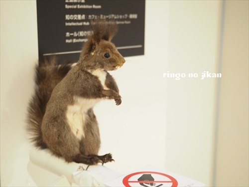 f:id:ringo_co:20190521142401j:plain f:id:ringo_co:20190521142401j:plain