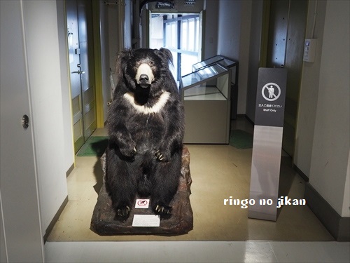 f:id:ringo_co:20190521142441j:plain f:id:ringo_co:20190521142441j:plain
