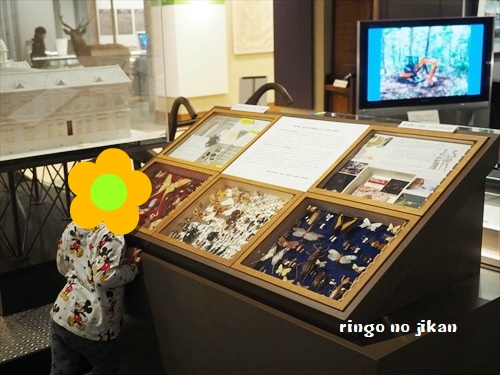 f:id:ringo_co:20190521142517j:plain f:id:ringo_co:20190521142517j:plain