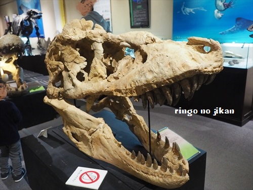f:id:ringo_co:20190521142624j:plain f:id:ringo_co:20190521142624j:plain