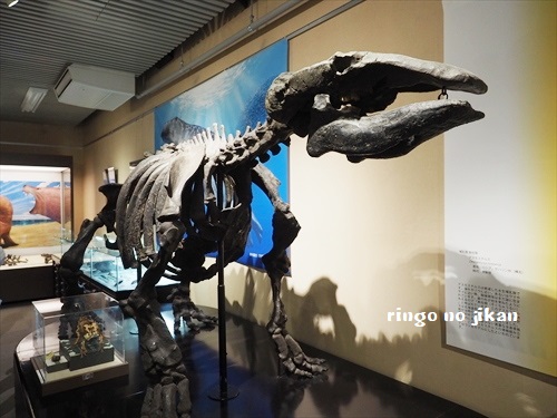f:id:ringo_co:20190521142626j:plain f:id:ringo_co:20190521142626j:plain