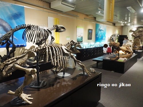 f:id:ringo_co:20190521142629j:plain f:id:ringo_co:20190521142629j:plain